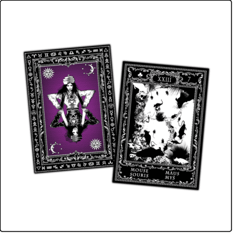 Evina Cards Evina Schmidova Magic Lenormand Cards 2nd Edition 2022 4 languages-2